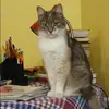 Отзыв от Катя Рожкова